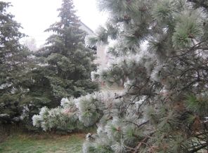 все во льду