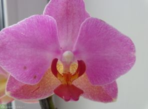DSC00022