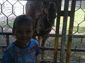 cghj