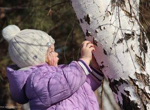 Русская девица возле березки))