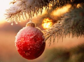 happy_new_year2