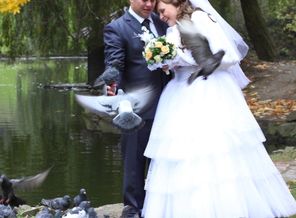 IMG_0118