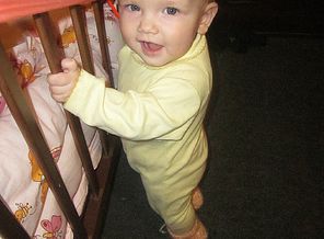 IMG_20130126_234048