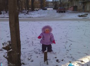 WP_000856