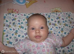 IMG_0529