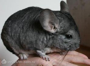 Малявочка