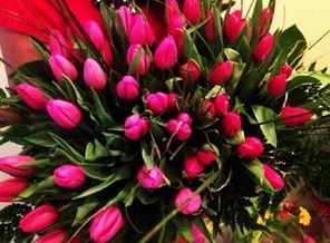 8 March))))