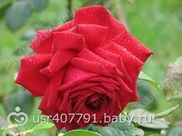 images (23)