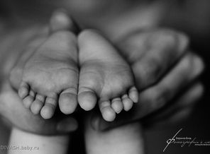 IMG_1931a