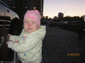 Осенний котенок