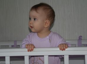 SAM_2761