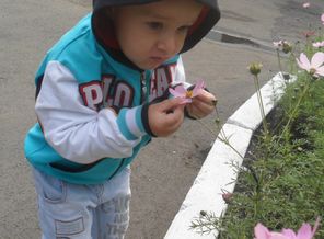 SAM_0623