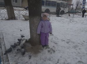 кормление голубов