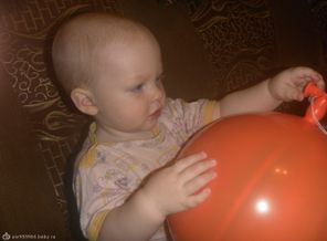 SAM_2627