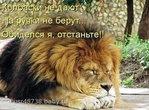 злые вы все