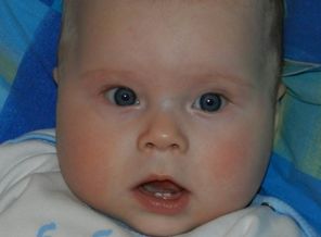 мы очень любим "Gerber"!