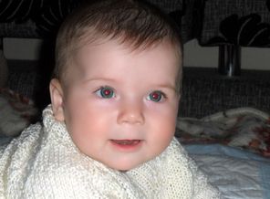 SAM_1949