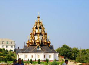 IMG_8445