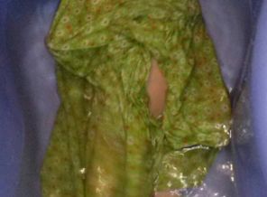 CAM00321-1