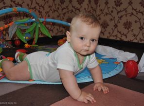 8 мес