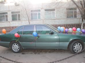 наш кабанчик в шарах=)))