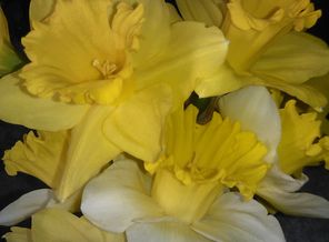 IMG_20130430_154326