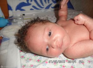 SAM_0459