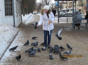 Изображение 288