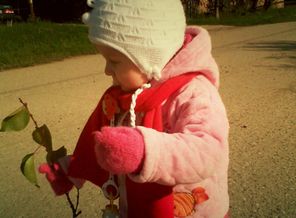 IMG_20131007_112712