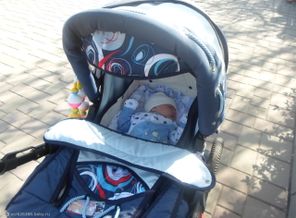 SAM_0301