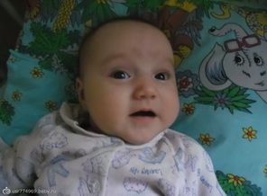 SAM_1037