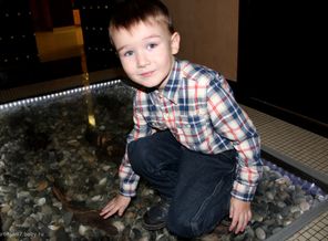 IMG_8145