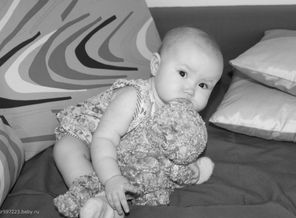 IMG_4253