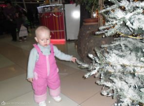 SAM_1438