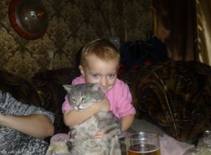 вот наш котик)