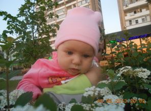 Первые мои цветочки на набережной реки Волга,мне сегодня 3месяца!!!