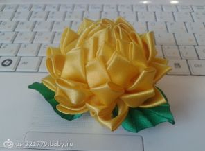 Астра брошь_250