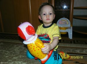 SAM_6535