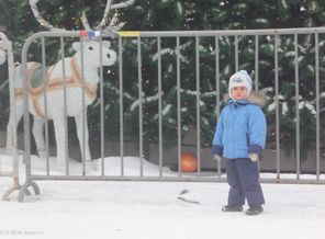 около городской елки.