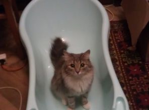 А Машка уже примеряет ванночку))))