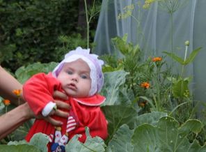 Кто провел лето на море, кто в городе, а я отдыхала на даче в капусте с Элькаром!