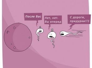 1355057704_laub7xv39eo