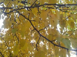 20130927_110343