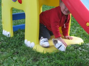 IMG_3110