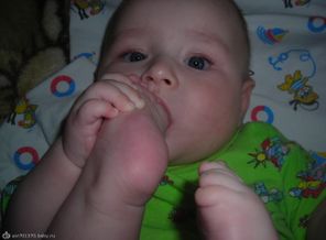 DSCN9341