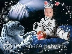 наш редчайший тигрёнок