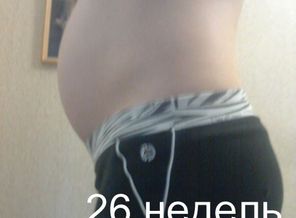 26 недель