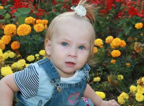 IMG_0856
