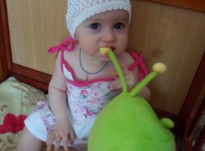 SAM_2288
