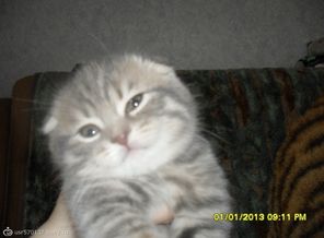 SAM_1704